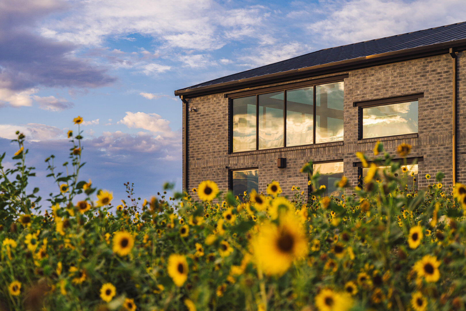 House from southeast sunflowers